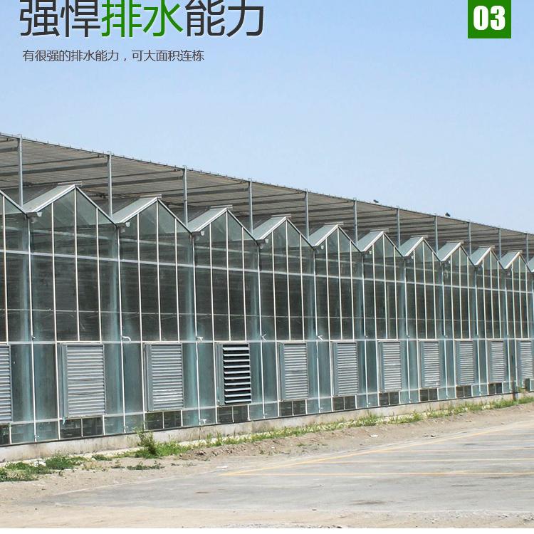 玻璃大棚建设    玻璃温室建设    玻璃连栋大棚承建商