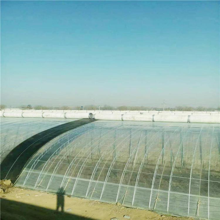 节能日光温室大棚骨架   恒丰温室大棚