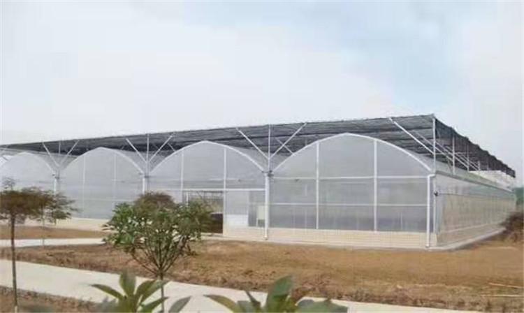 农用温室大棚-连栋薄膜温室-单栋温室大棚-冬季温室大棚   恒丰温室