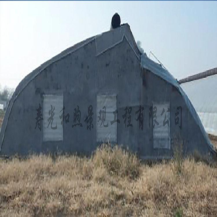 日光温室大棚 温室大棚建设 温室大棚设计 日光温室大棚厂家