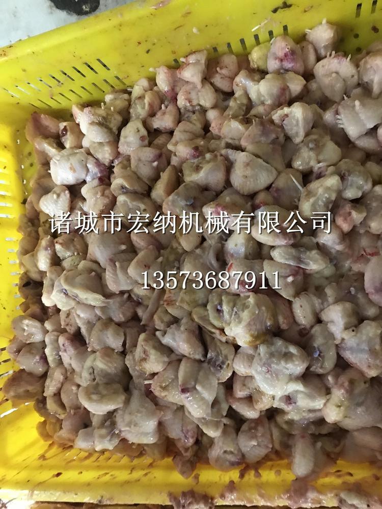 供应家禽割尾机 家禽割尾机厂家