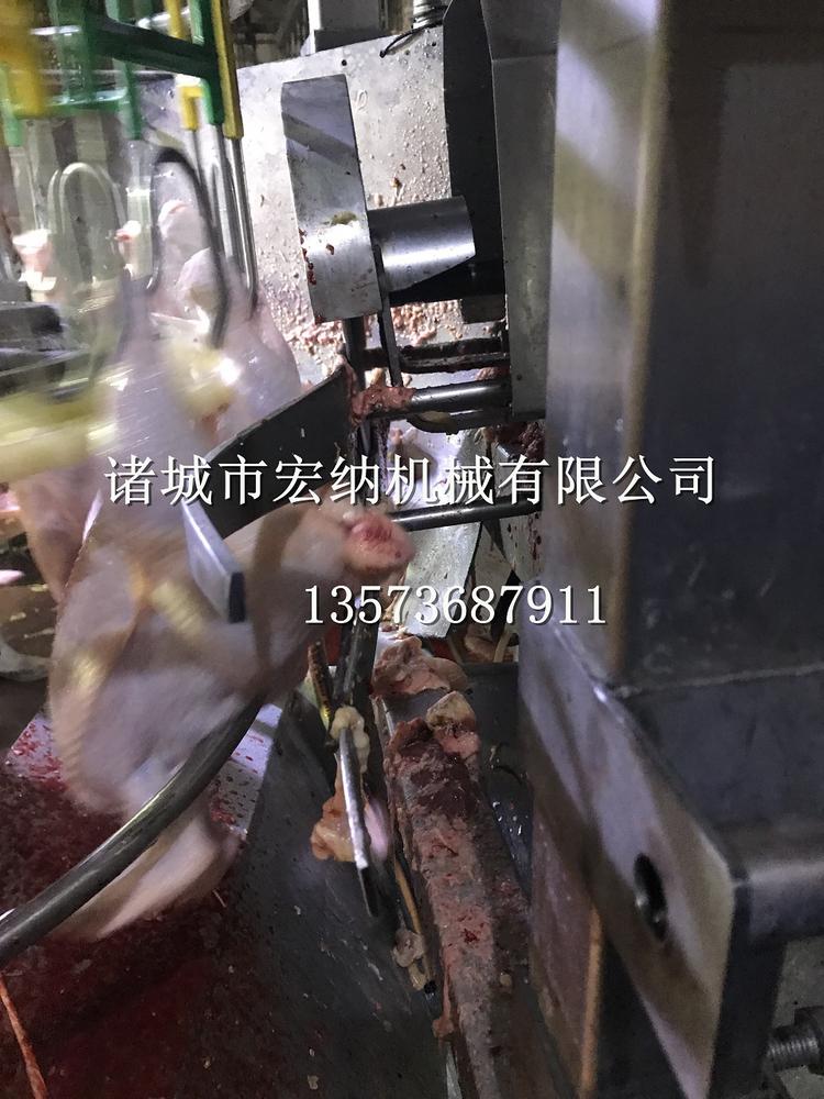 供应自动切鸡尾机 自动切鸡尾机生产厂家
