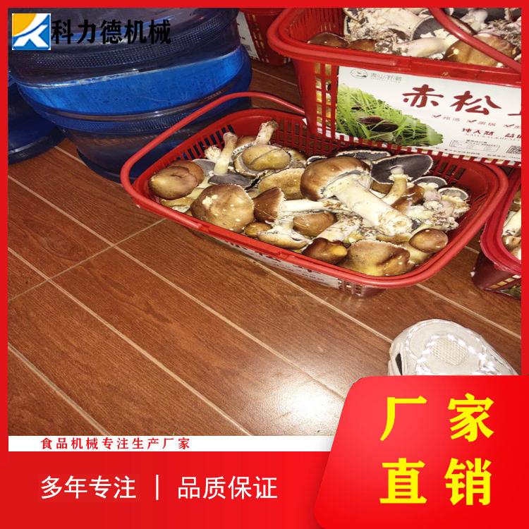 气泡清洗机 鲜枣去泥清洗机 红薯条气泡清洗机 茨菇气泡清洗机厂家直销