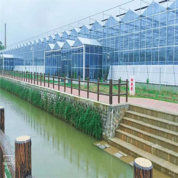 商业展览玻璃温室 新型玻璃温室大棚承建
