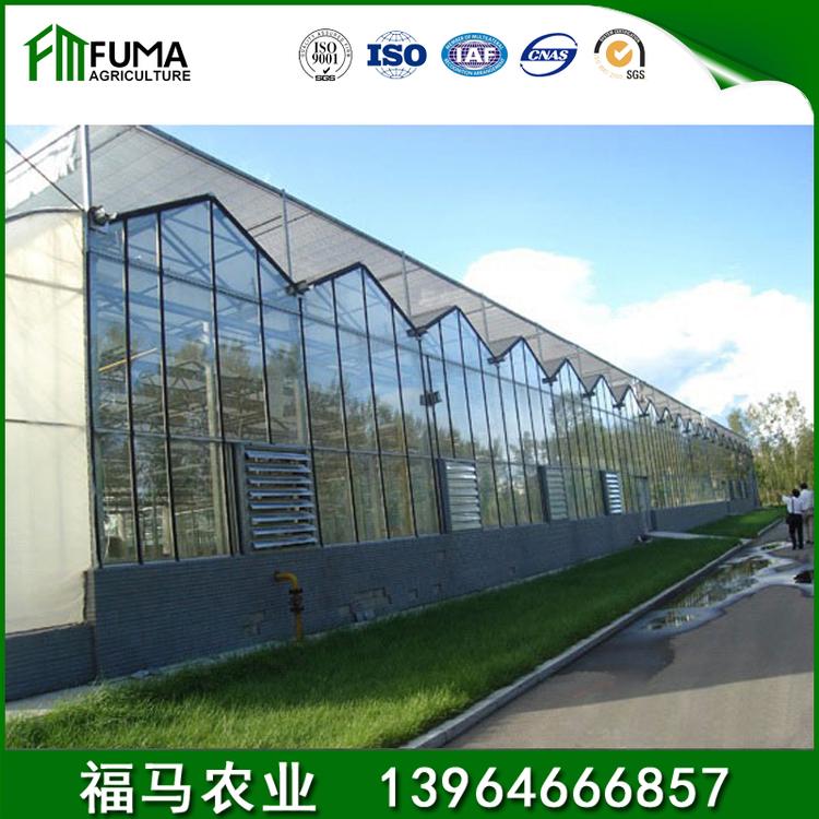 蔬菜大棚温室建设 连栋温室_承建设计安装