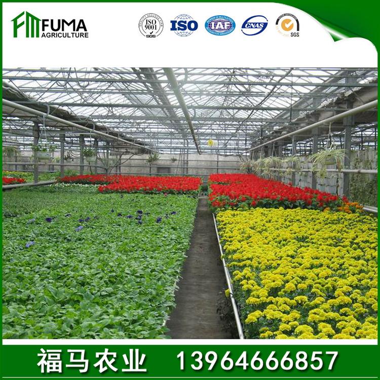 多肉植物大棚养猪大棚建设 钢管大棚_按需定制安装