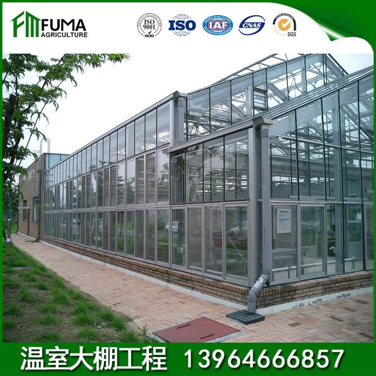 养猪大棚建设 承建设计安装玻璃温室 蘑菇大棚