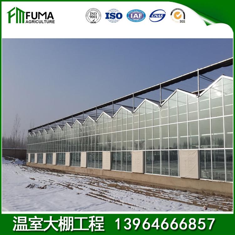 新式养鸡大棚大棚建设 日光温室_承建设计安装