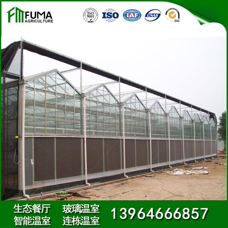 玻璃温室大棚 植物栽培温室大棚
