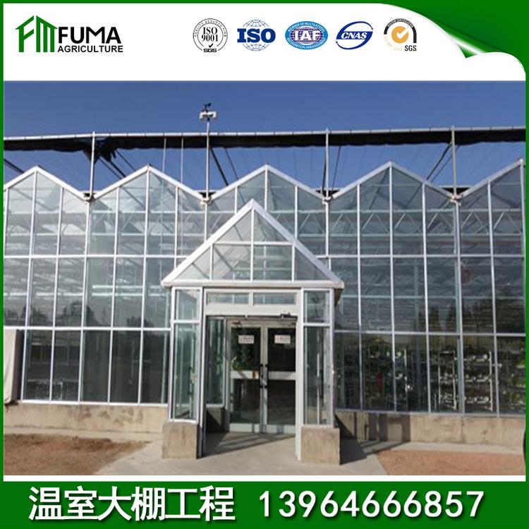 蔬菜大棚造价 按需定制安装生态餐厅 新式养鸡大棚