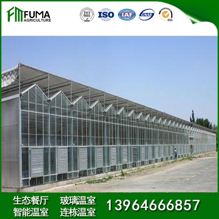 养猪大棚建设 按需定制安装温室大棚 新型温室大棚