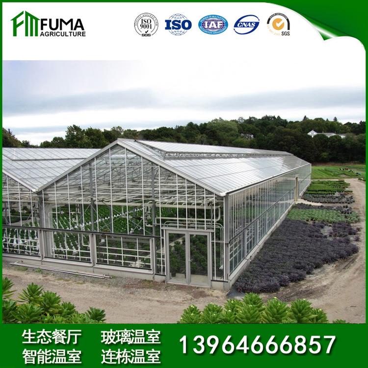 蔬菜大棚造价 按需定制安装钢管大棚 新式养鸡大棚