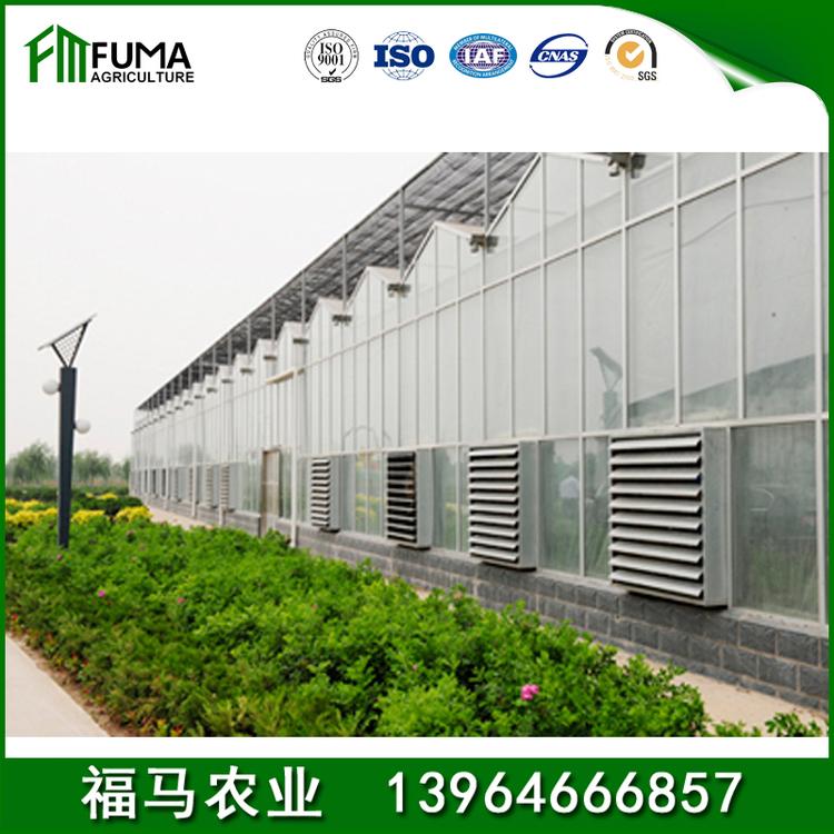 大棚建设 承建设计安装生态餐厅 多肉植物大棚