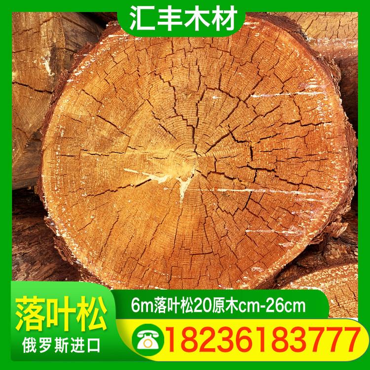 汇丰木材 6m落叶松20原木cm-26cm 落叶松圆木桩