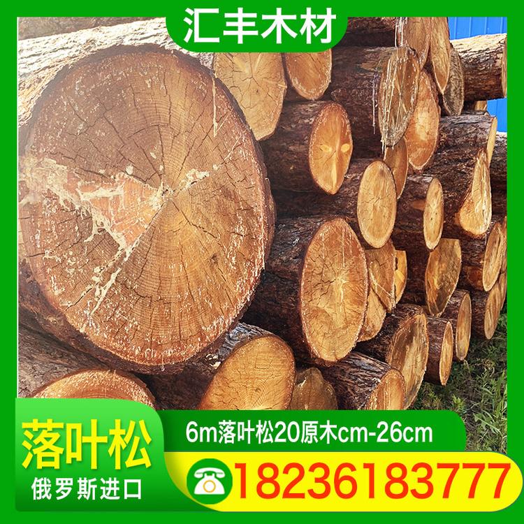 汇丰木材 6m落叶松20原木cm-26cm 圆木桩