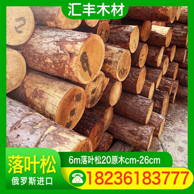 汇丰木材 6m落叶松20原木cm-26cm 工地河道