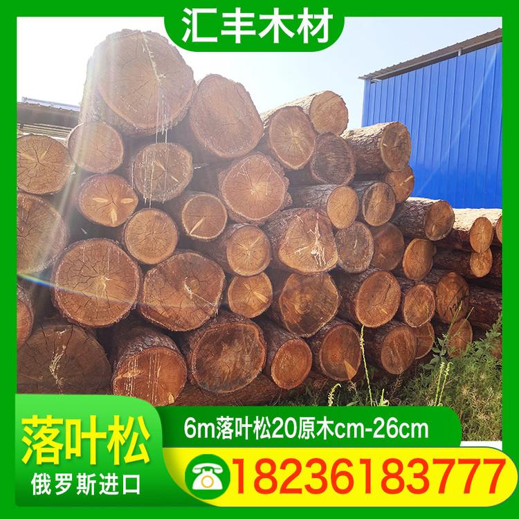 汇丰木材 6m落叶松20原木cm-26cm 打桩木