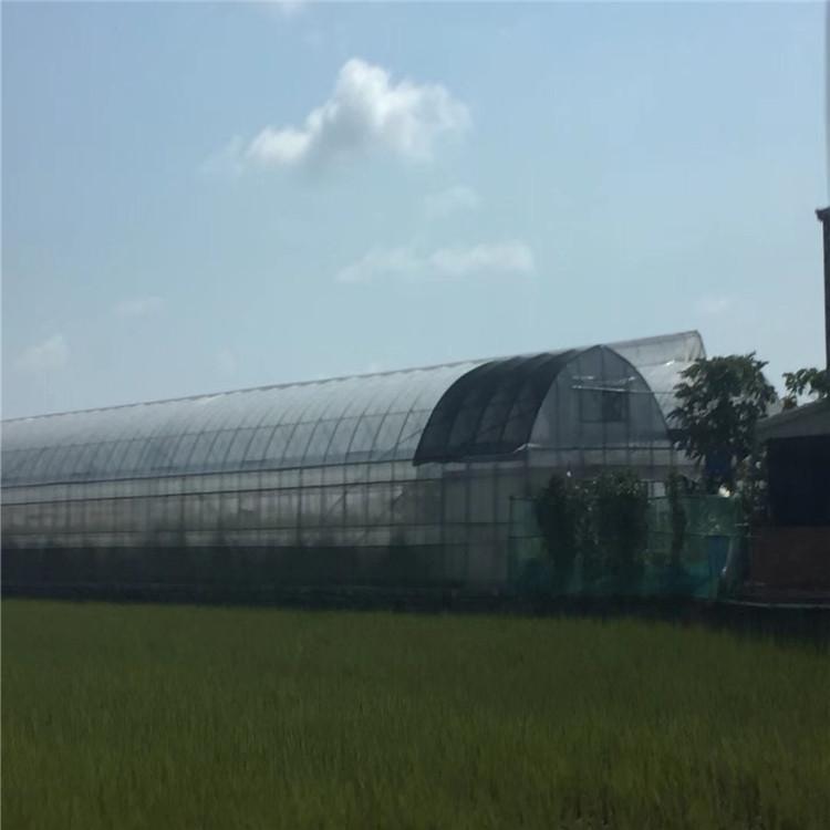 温室大棚建设-温室大棚厂家-薄膜温室大棚