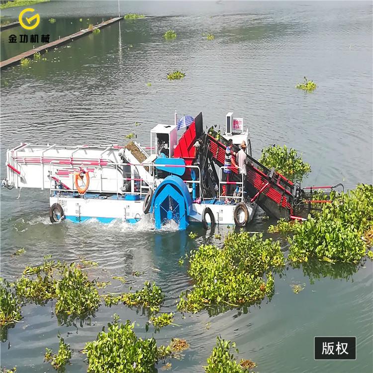 水浮莲打捞船价格   小型水花生打捞船
