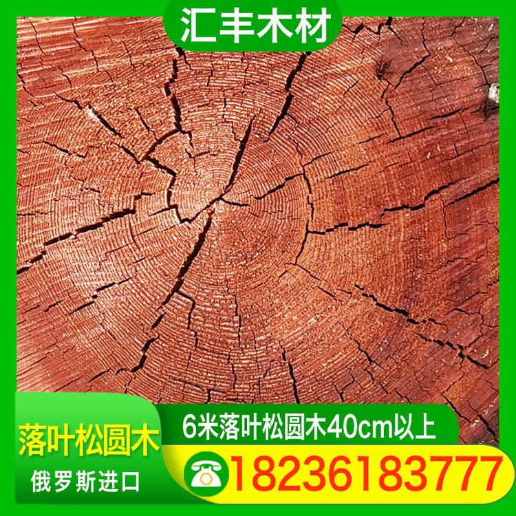 汇丰木材 6米落叶松圆木40cm以上 白松原木