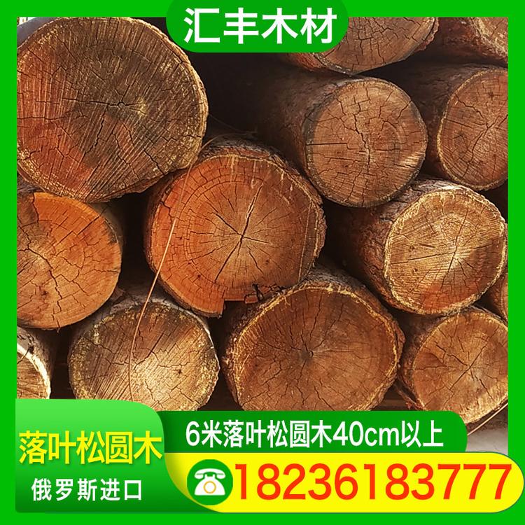 汇丰木材 6米落叶松圆木40cm以上 寺庙圆柱