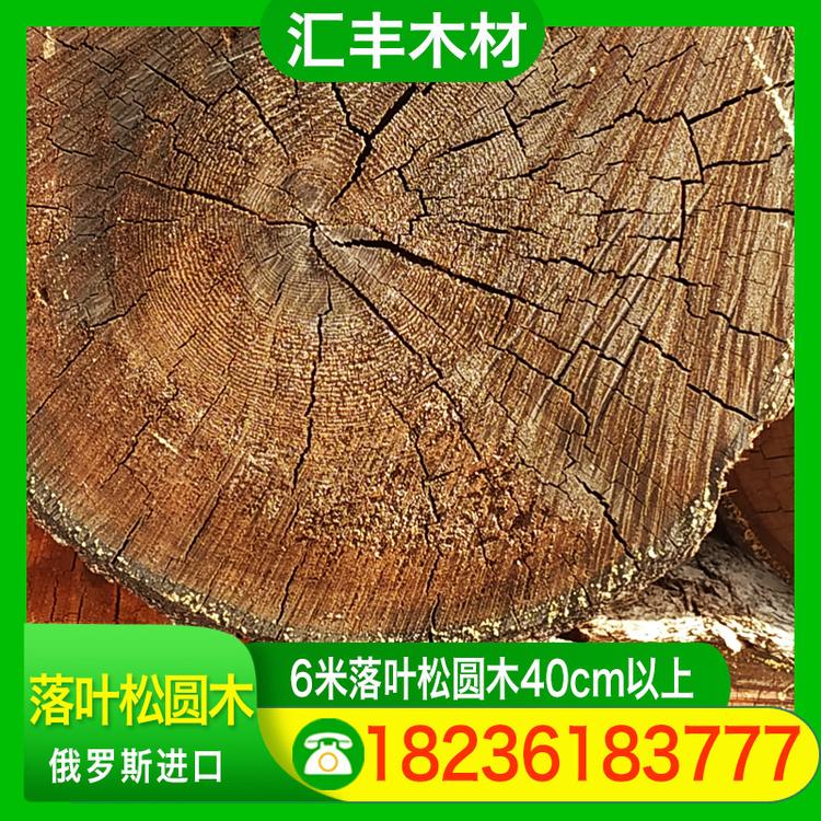 汇丰木材 6米落叶松圆木40cm以上 落叶松原木