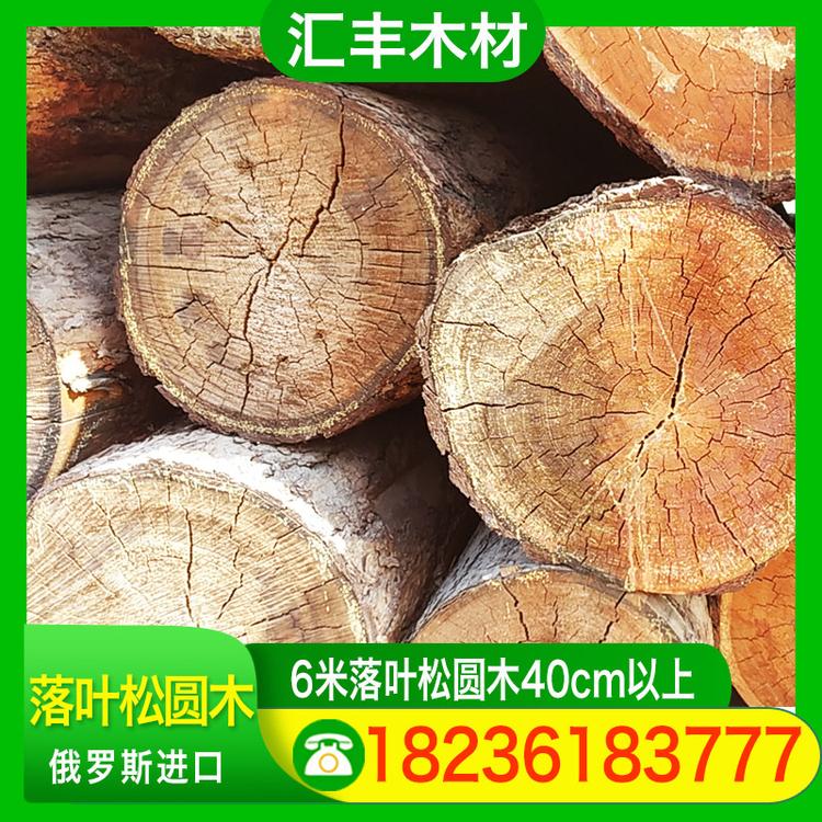 汇丰木材 6米落叶松圆木40cm以上 高档优质松木