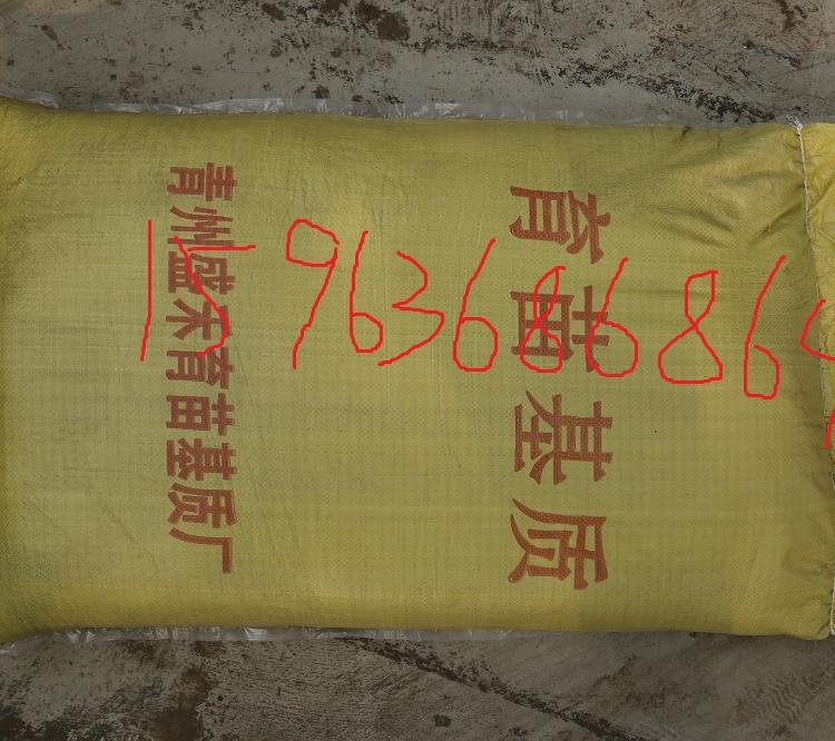育苗基质 优质基质 欢迎选购