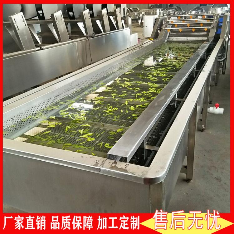 全自动蔬菜清洗线 鲜花椒深加工杀青预煮漂烫烘干流水线 花椒清洗机 毛豆气泡清洗机