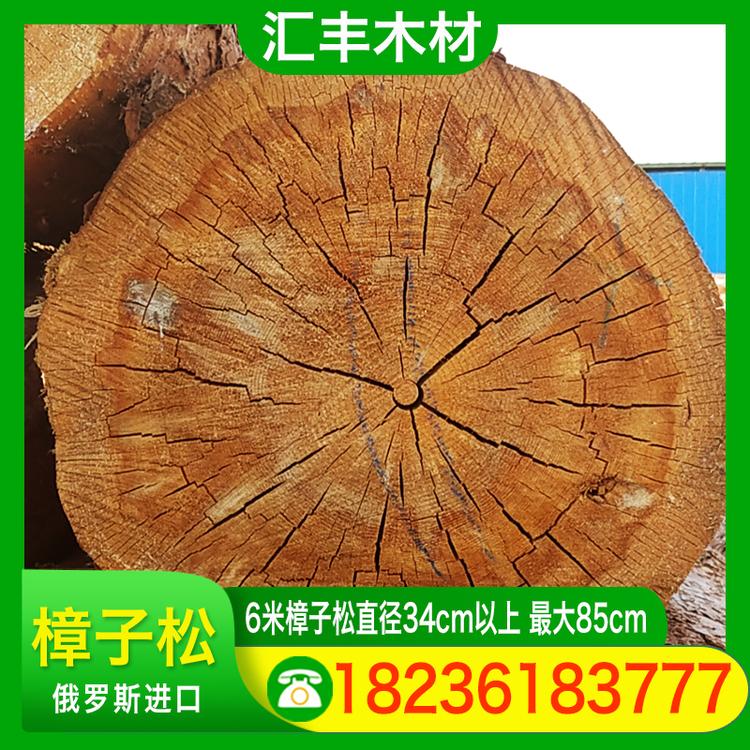 汇丰木材 6米樟子松直径34cm以上 最大85cm 樟子松防腐木