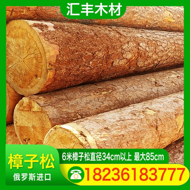 汇丰木材 6米樟子松直径34cm以上 最大85cm 防洪木