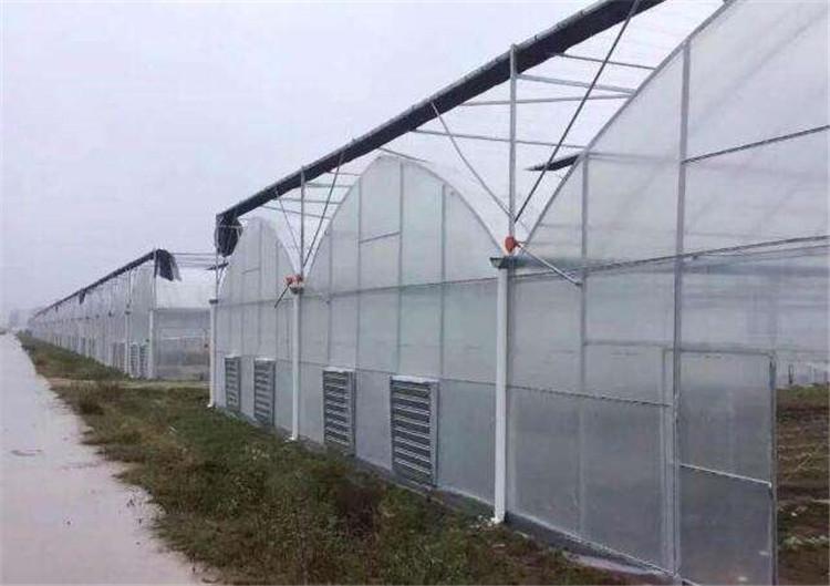连栋薄膜温室 智能玻璃薄膜 温室大棚建造  博盛温室