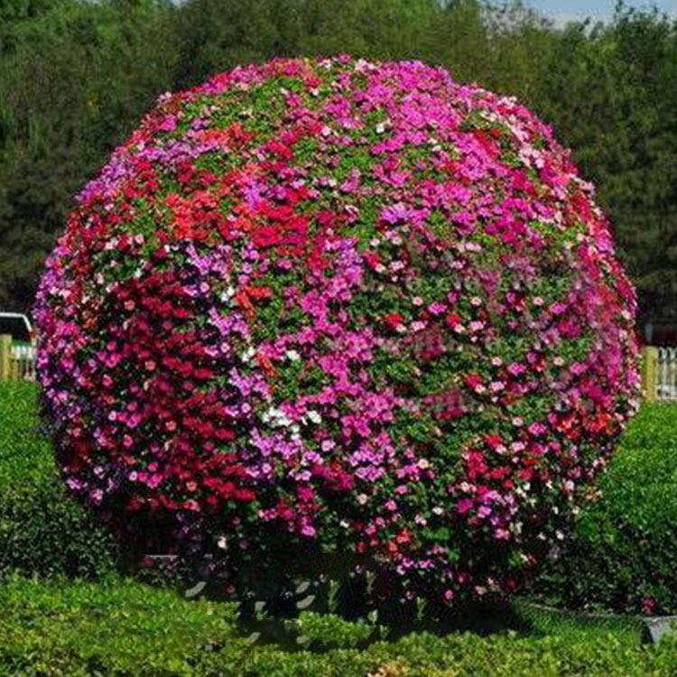 山东铁艺花球 铁艺花架定制 霖诺绿化工程