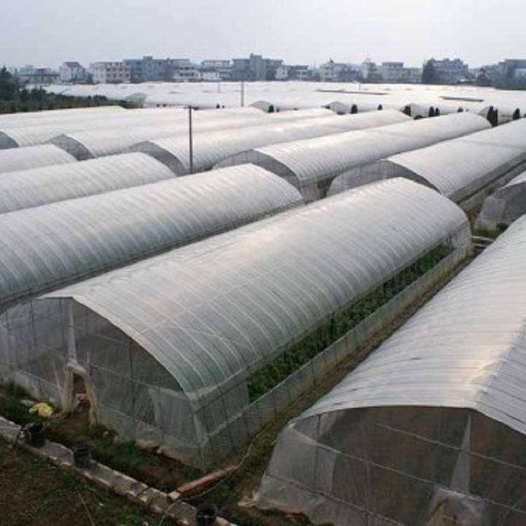 日光薄膜温室承建 简易薄膜温室大棚安装 温室大棚建造商-鸿运达