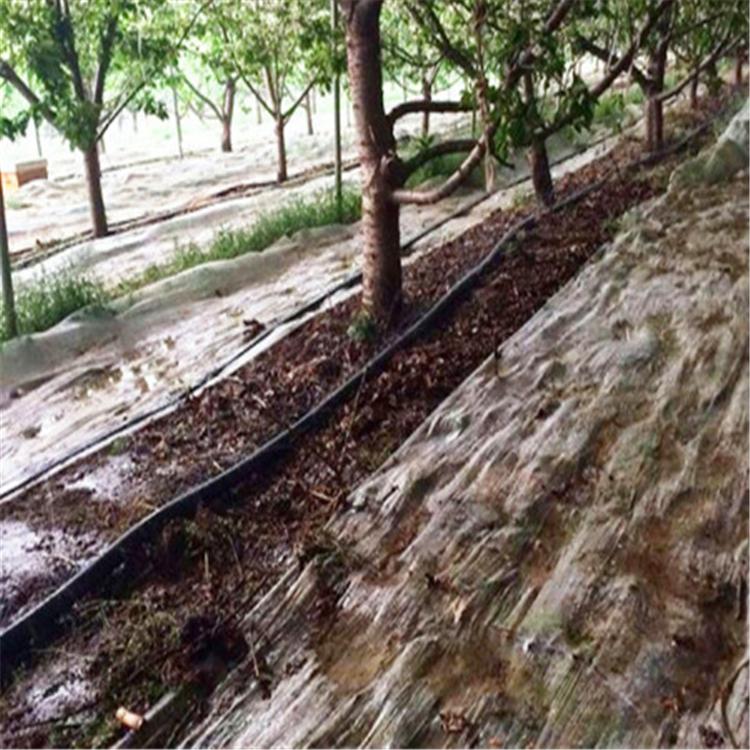 滴灌带供应商 5孔滴灌带  现货直销1寸喷灌带