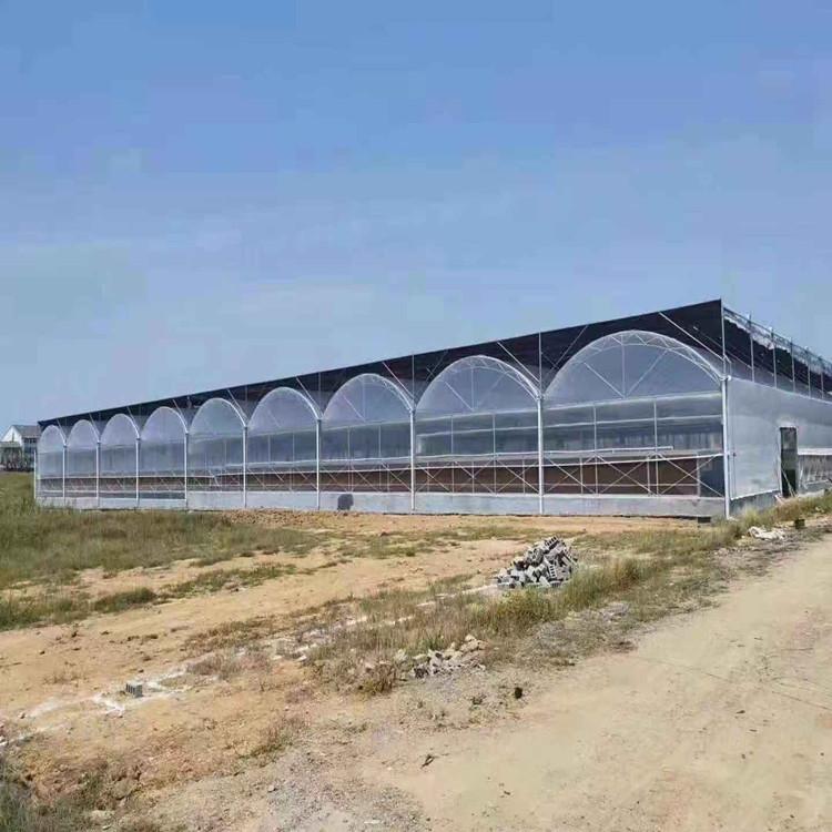 厂家定制日光温室建设  日光温室大棚骨架 推荐鋆成兴达