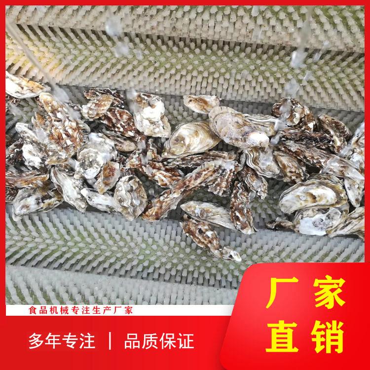 扇贝海虹毛辊清洗机  葛根毛辊清洗机 芋头毛辊清洗机 多功能毛辊清洗机
