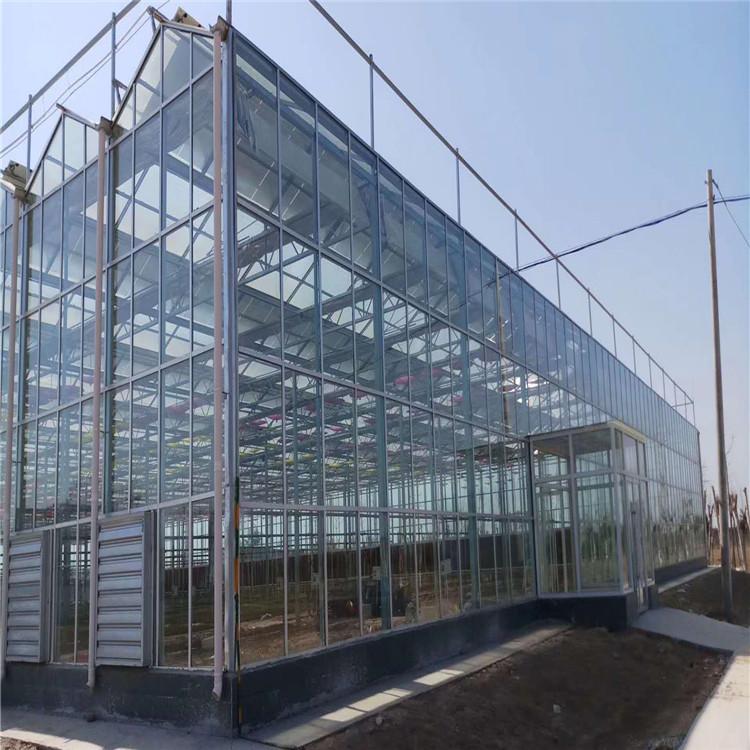 新型玻璃温室大棚厂家 连栋玻璃温室造价 温室大棚承建商