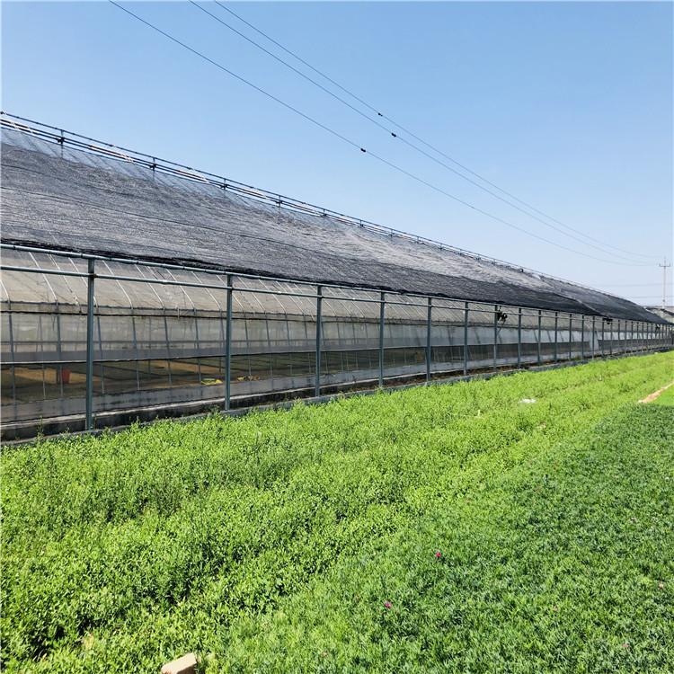 节能日光温室承建 蔬菜日光温室大棚建设 温室大棚厂家