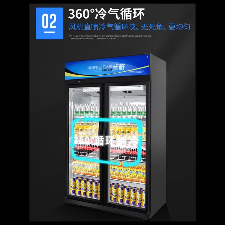 加工定制啤酒冷藏展示柜 玻璃门啤酒柜 豪华商用啤酒柜价格