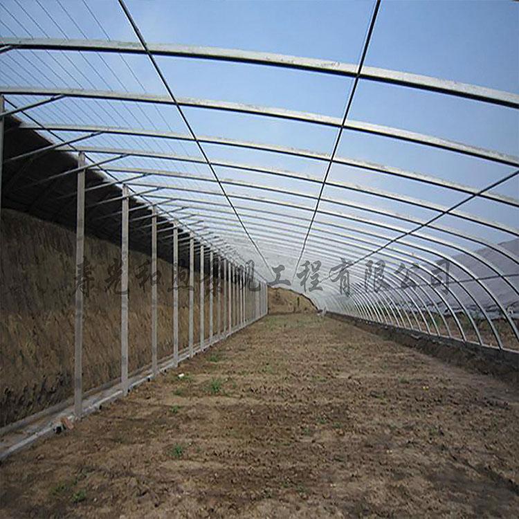 温室大棚 温室大棚承建 温室大棚设计 日光温室大棚和煦厂家
