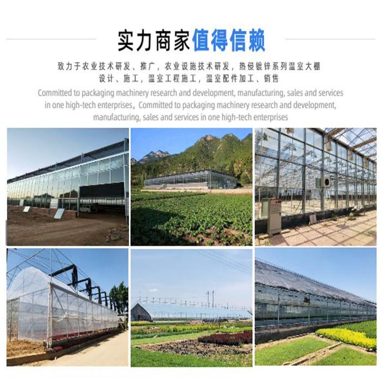 阳光板温室大棚方案 大型阳光板温室工程