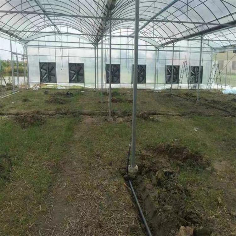 薄膜连栋温室大棚  日光温室 推荐鋆成兴达