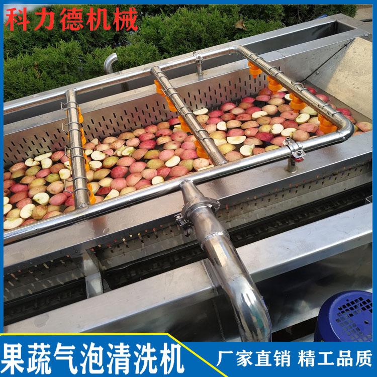 番石榴涡流翻浪清洗机 苹果气泡清洗机 全自动过滤循环水果番石榴清洗流水线 科力德机械