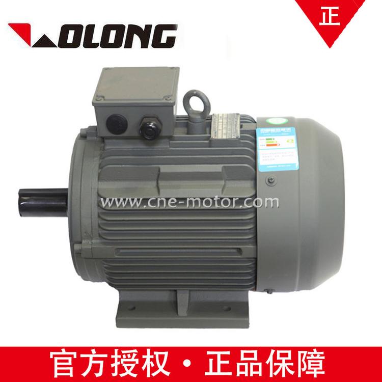 Wolong电气南阳防爆YE2-90-6高效率380V IP55低压三相异步电机