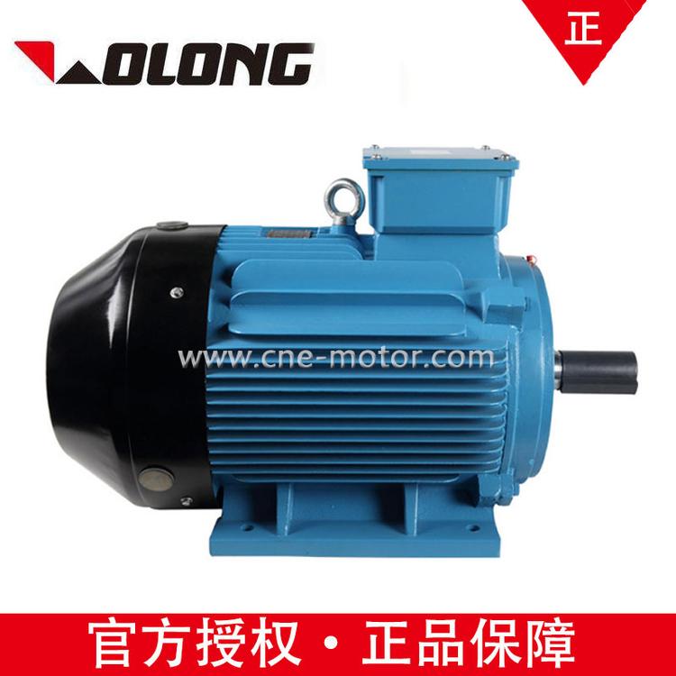 Wolong电气南阳防爆YE2-180-6高效率380V IP55低压三相异步电机