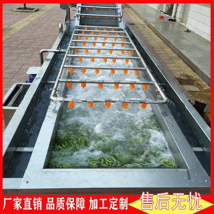 全自动果蔬冲浪式气泡清洗机 圣女果连续农药残留清洗流水线 气泡喷淋清洗线