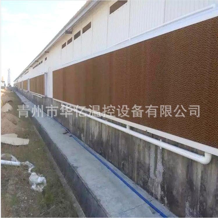 防鼠咬湿帘纸 降温通风设备 养殖水帘纸
