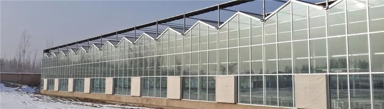 pc阳光板温室大棚 博盛  畜牧养殖大棚