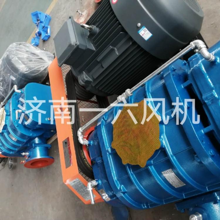 低噪音水曝气专用罗茨风机熔喷布专用罗茨风机生活污水处理风机厂家